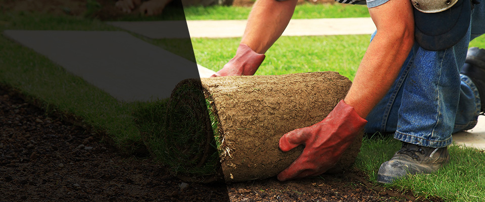 Beaverton Landscapers